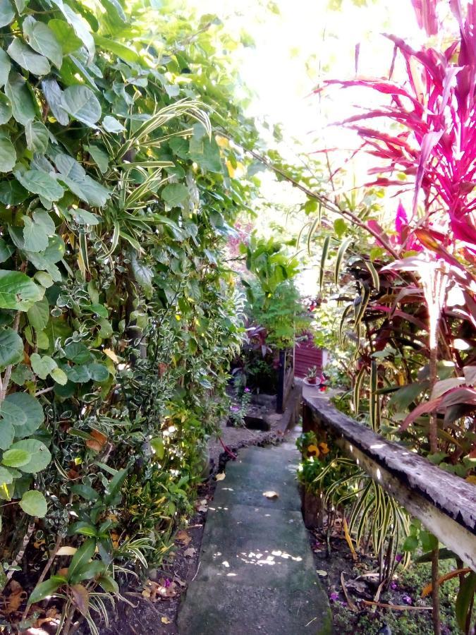 Island Home 霍尼亚拉 外观 照片